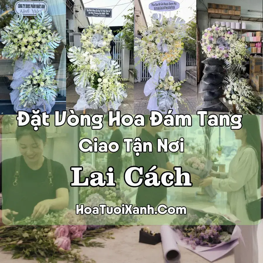 Hoa đám tang Lai Cách