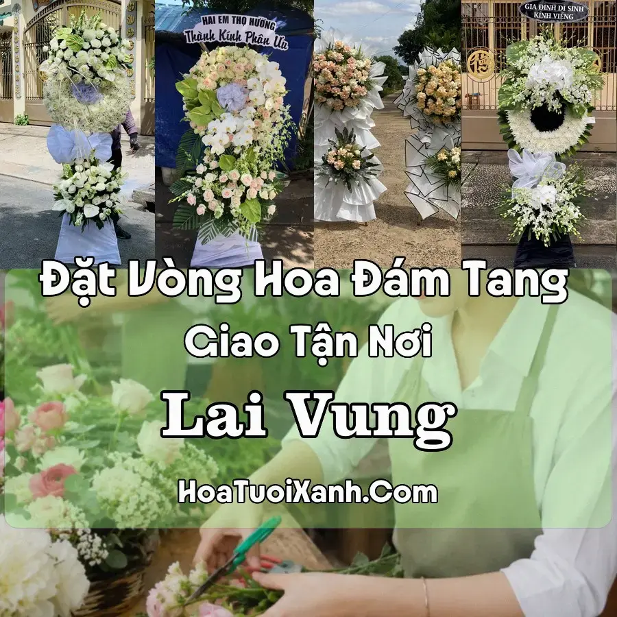 Hoa Đám Tang Lai Vung (Xã Hòa Long, Đồng Tháp mới)