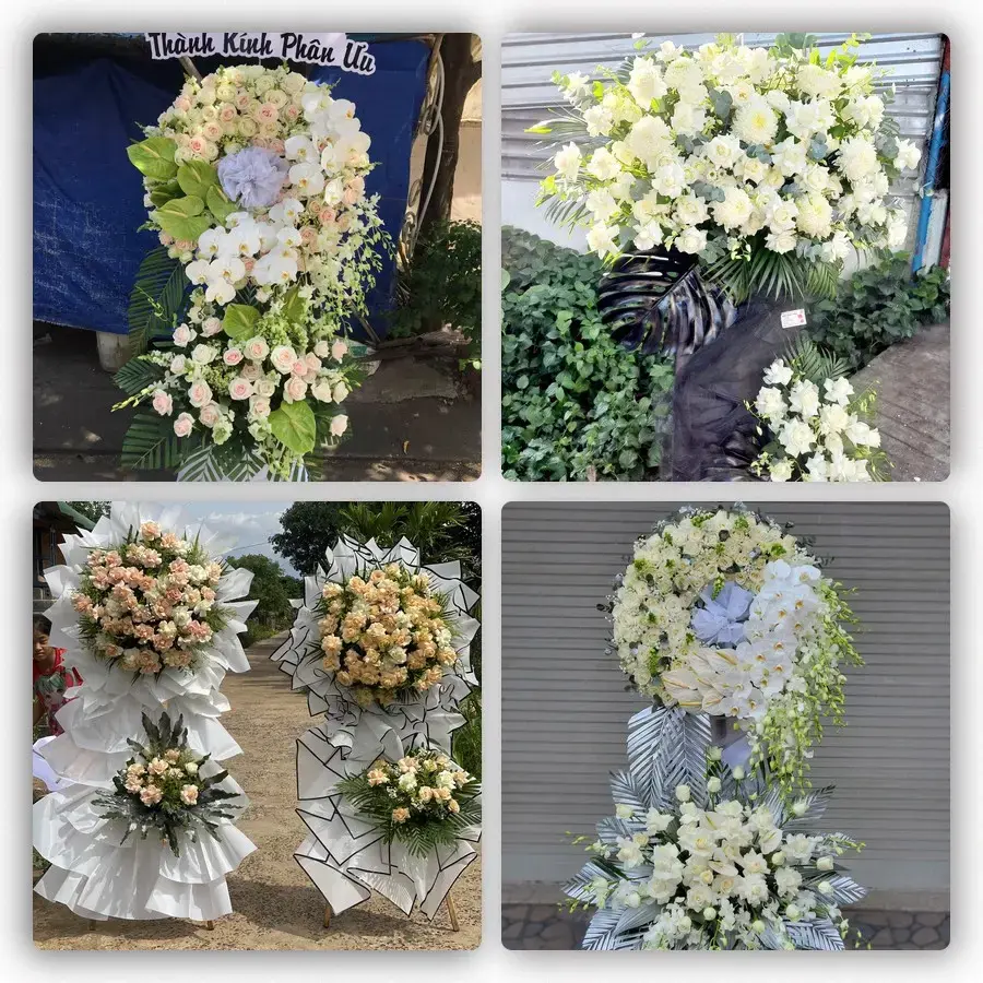 Bốn mẫu hoa đám tang Lam Sơn