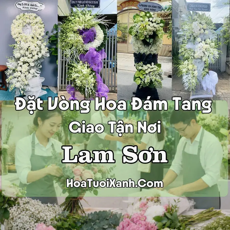 Hoa Đám Tang Lam Sơn (Xã Lam Sơn, Thanh Hóa mới)