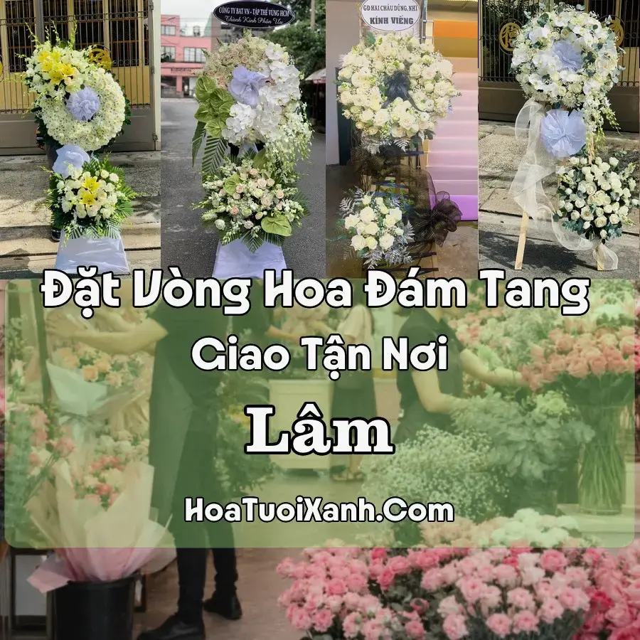 Hoa Đám Tang Lâm (Xã Ý Yên, Ninh Bình mới)