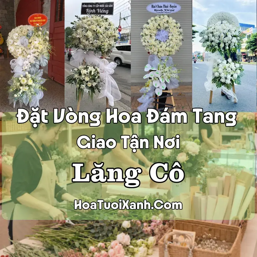 Hoa Đám Tang Lăng Cô (Xã Chân Mây – Lăng Cô, Huế mới)