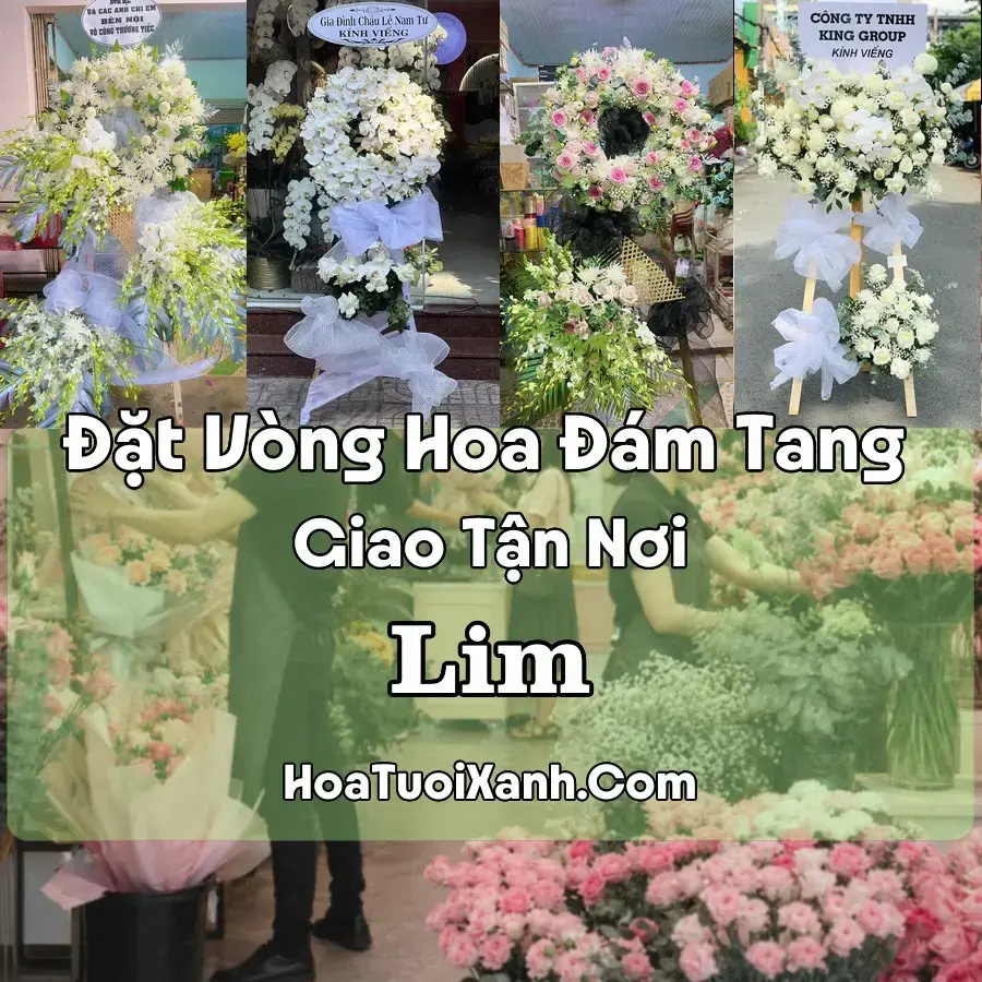 Hoa Đám Tang Lim (Xã Tiên Du; Phường Hồng Hà, Vũ Ninh, Hà Nội mới)