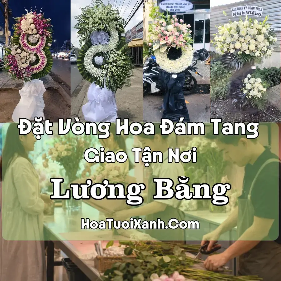 Hoa đám tang Lương Bằng