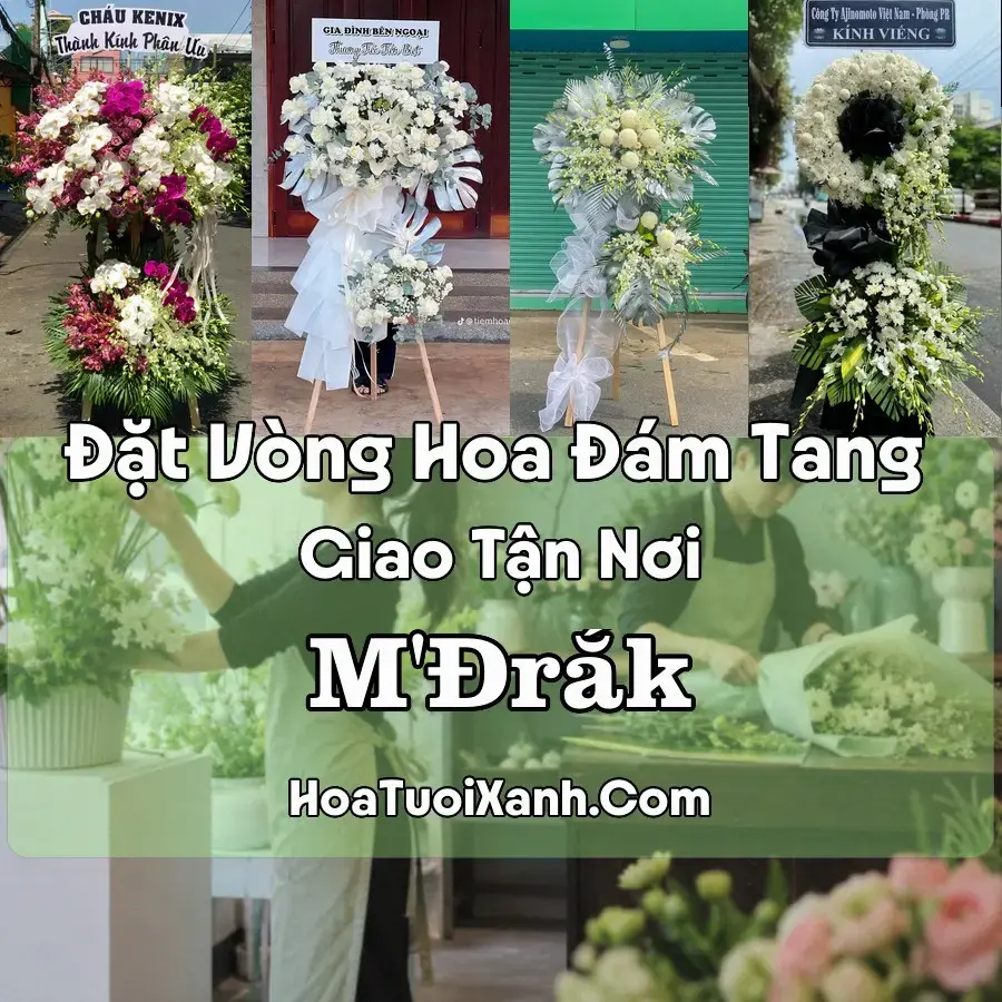 Hoa đám tang M'Đrắk