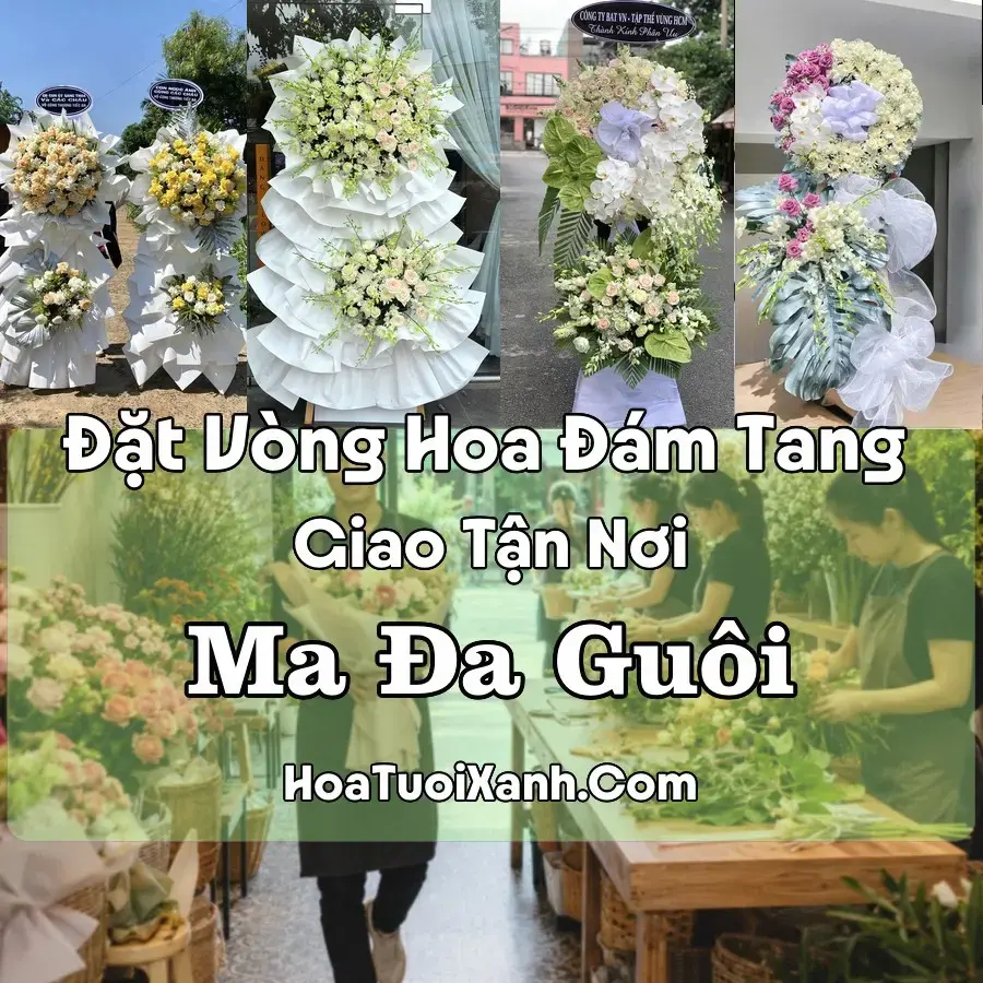 Hoa Đám Tang Ma Đa Guôi (Xã Đạ Huoai, Lâm Đồng mới)
