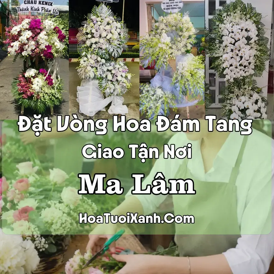 Hoa đám tang Ma Lâm