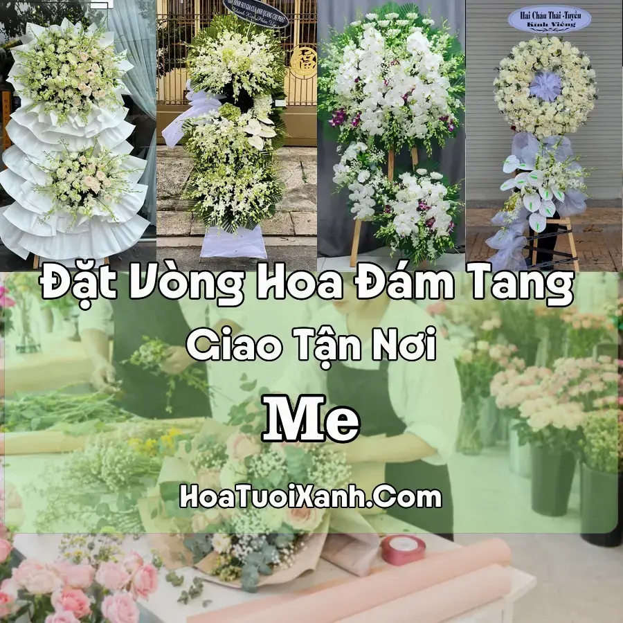 Hoa Đám Tang Me (Xã Gia Viễn; Phường Phú Diễn, Ninh Bình mới)