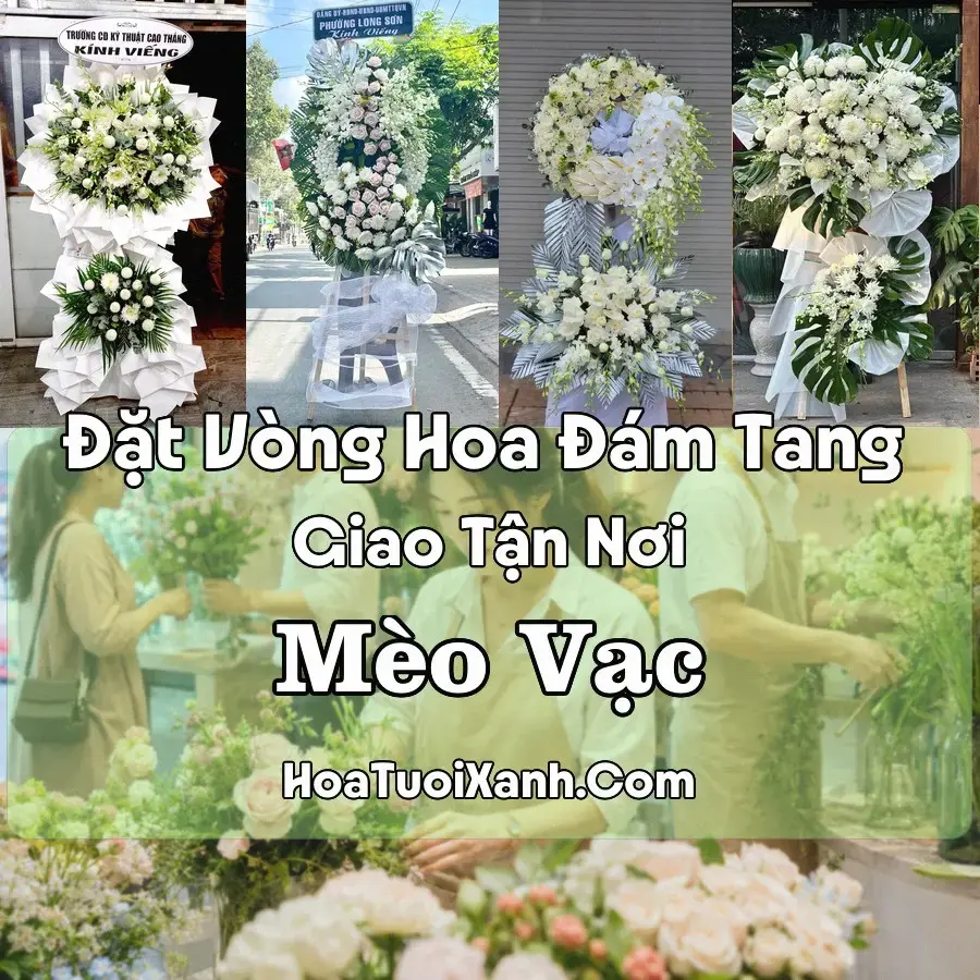Hoa Đám Tang Mèo Vạc (Xã Mèo Vạc, Tuyên Quang mới)