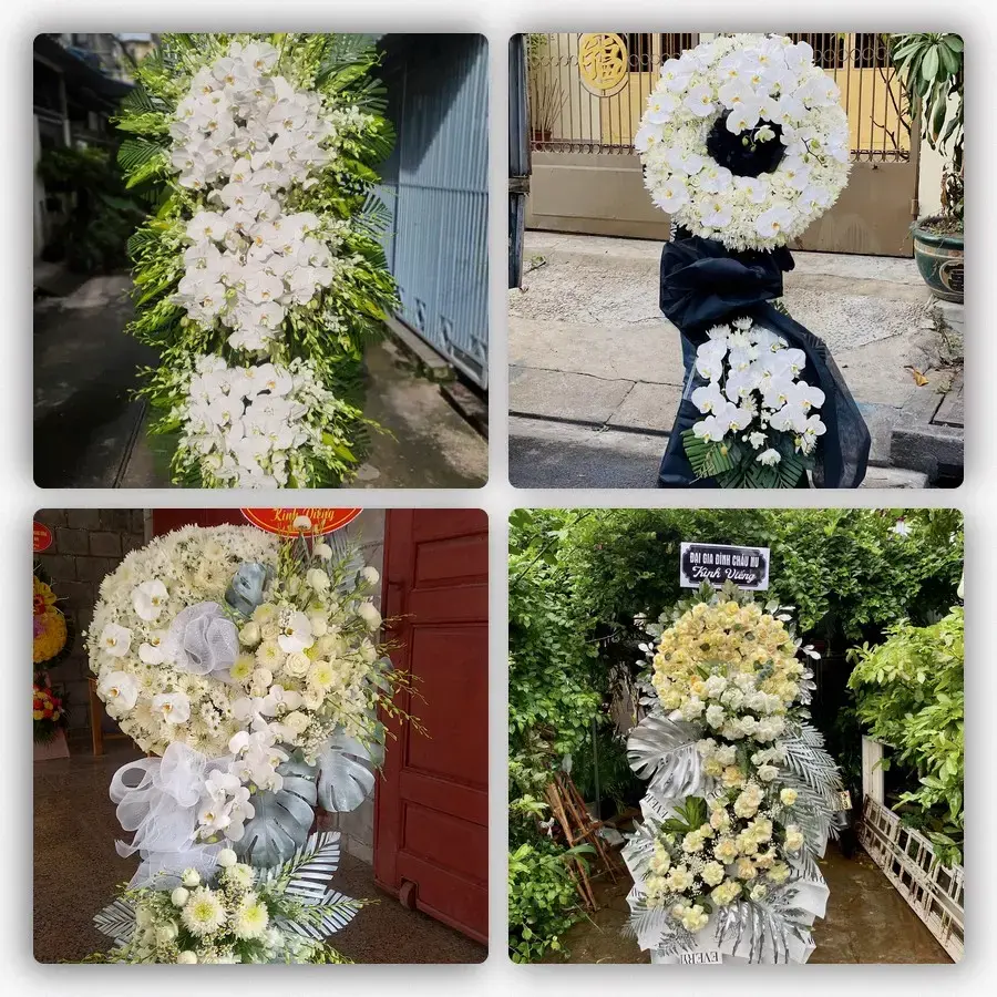 Bốn mẫu hoa đám tang Mỏ Cày