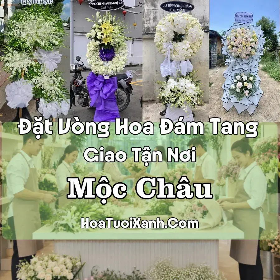 Hoa đám tang Mộc Châu