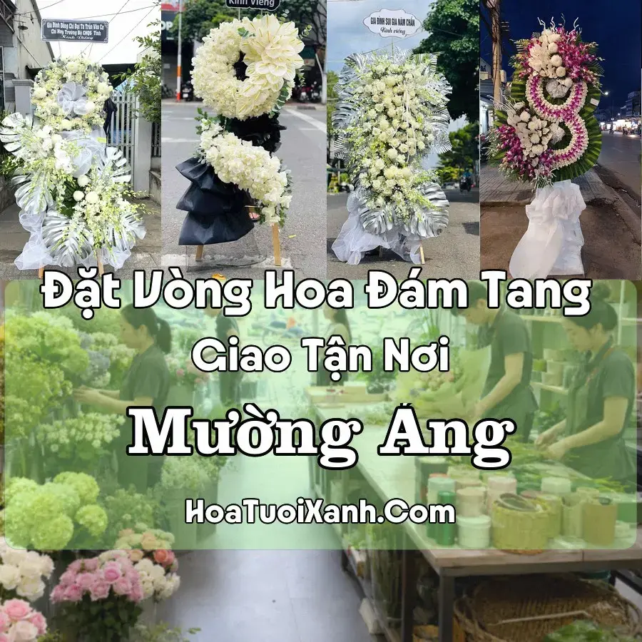 Hoa đám tang Mường Ảng