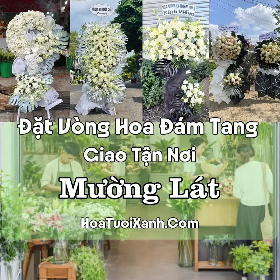 Hoa đám tang Mường Lát