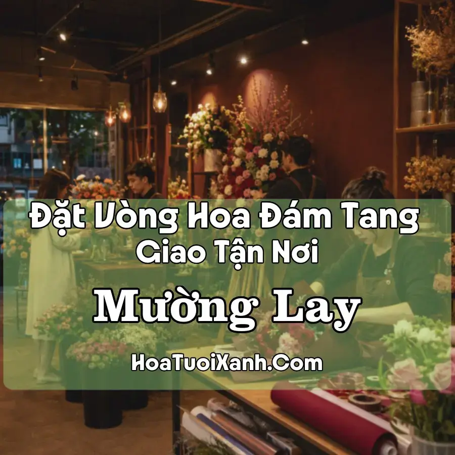 Hoa Đám Tang Mường Lay (Phường Mường Lay, Điện Biên mới)