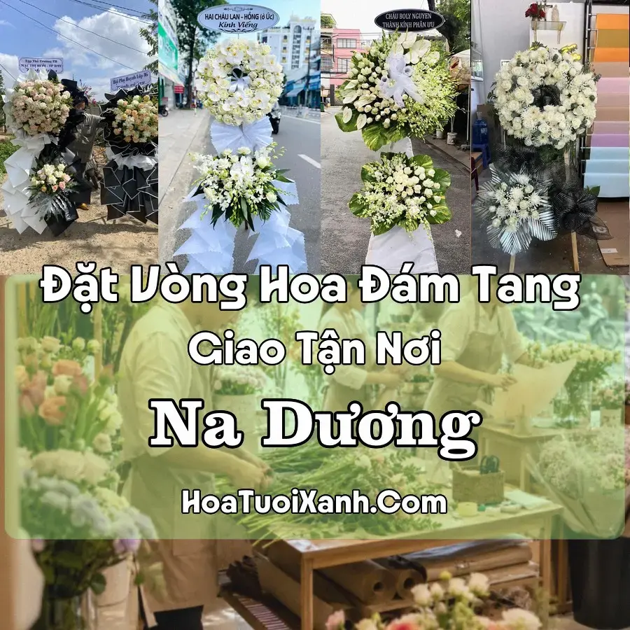 Hoa Đám Tang Na Dương (Xã Na Dương, Lạng Sơn mới)