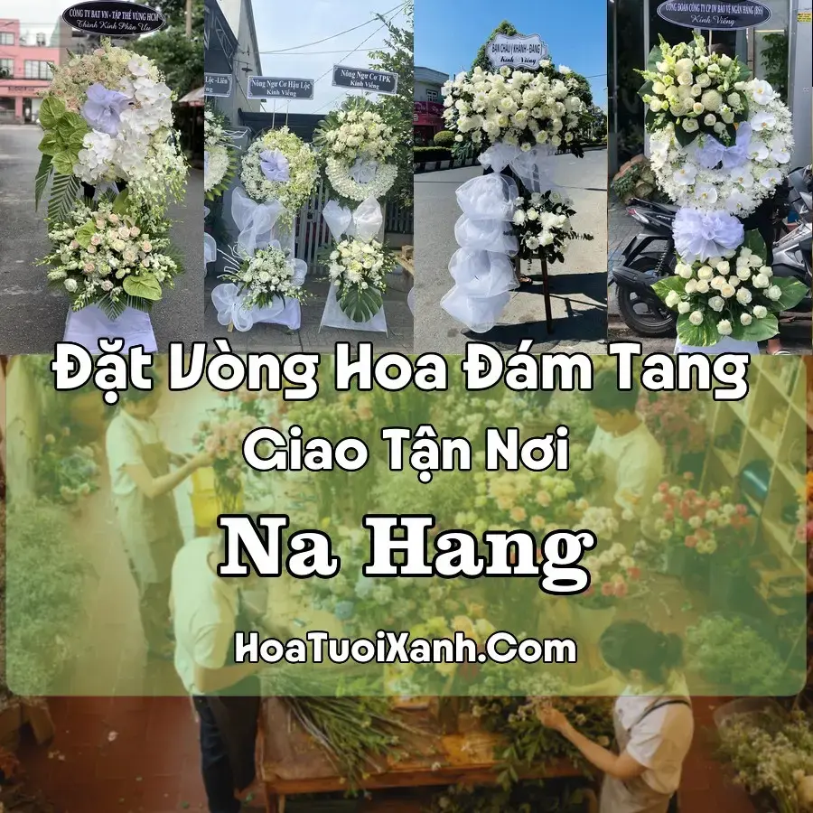 Hoa Đám Tang Na Hang (Xã Nà Hang, Tuyên Quang mới)