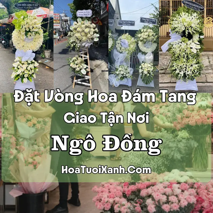 Hoa Đám Tang Ngô Đồng (Xã Giao Thủy, Ninh Bình mới)