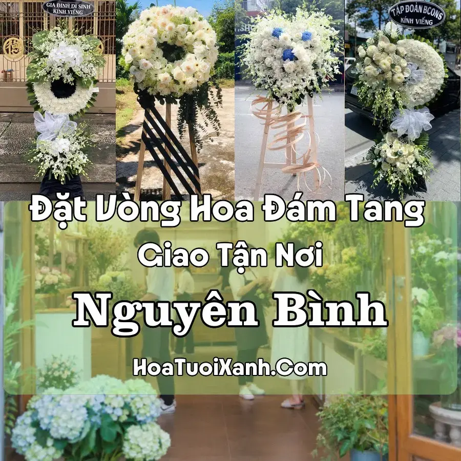 Hoa Đám Tang Nguyên Bình (Đặc khu Côn Đảo; Xã Dương Minh Châu; Phường Bình Phước, TP.HCM mới)