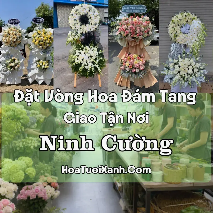 Hoa đám tang Ninh Cường