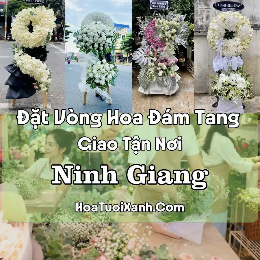 Hoa Đám Tang Ninh Giang (Xã Ninh Giang, Hải Phòng mới)