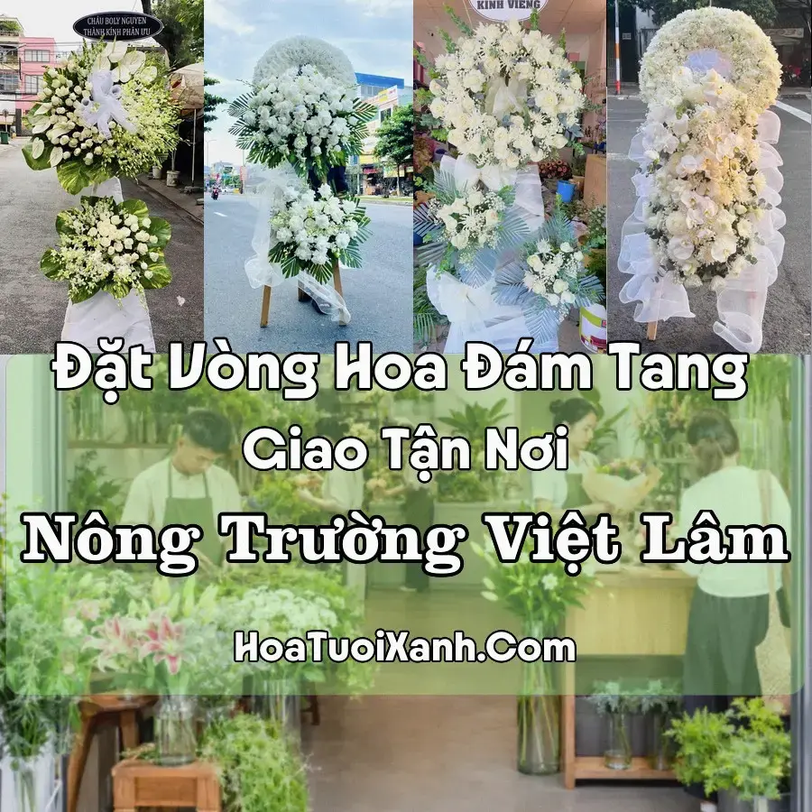 Hoa Đám Tang Nông Trường Việt Lâm (Xã Vị Xuyên, Tuyên Quang mới)