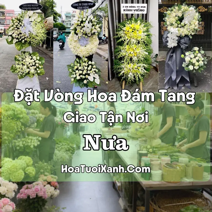 Hoa đám tang Nưa