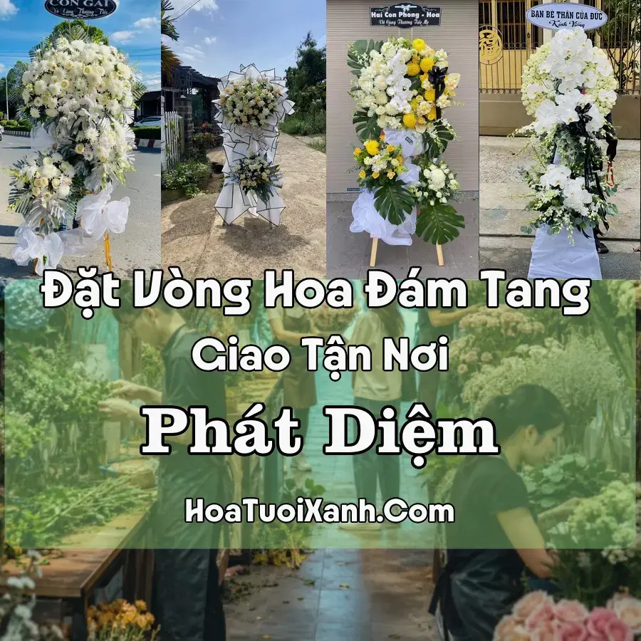 Hoa Đám Tang Phát Diệm (Xã Phát Diệm, Ninh Bình mới)