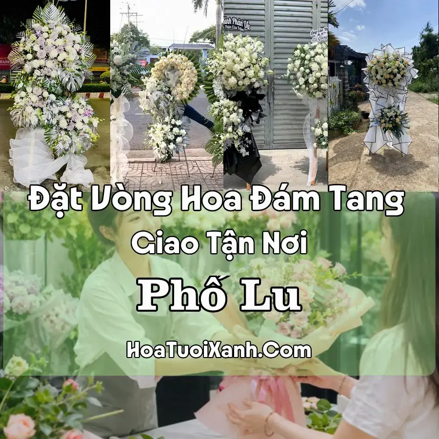 Hoa Đám Tang Phố Lu (Xã Bảo Thắng, Lào Cai mới)