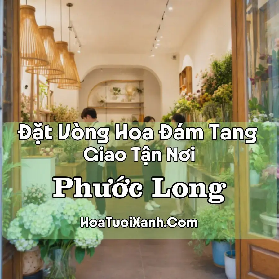 Hoa Đám Tang Phước Long (Phường Phước Long, Phước Bình, Đồng Nai mới)