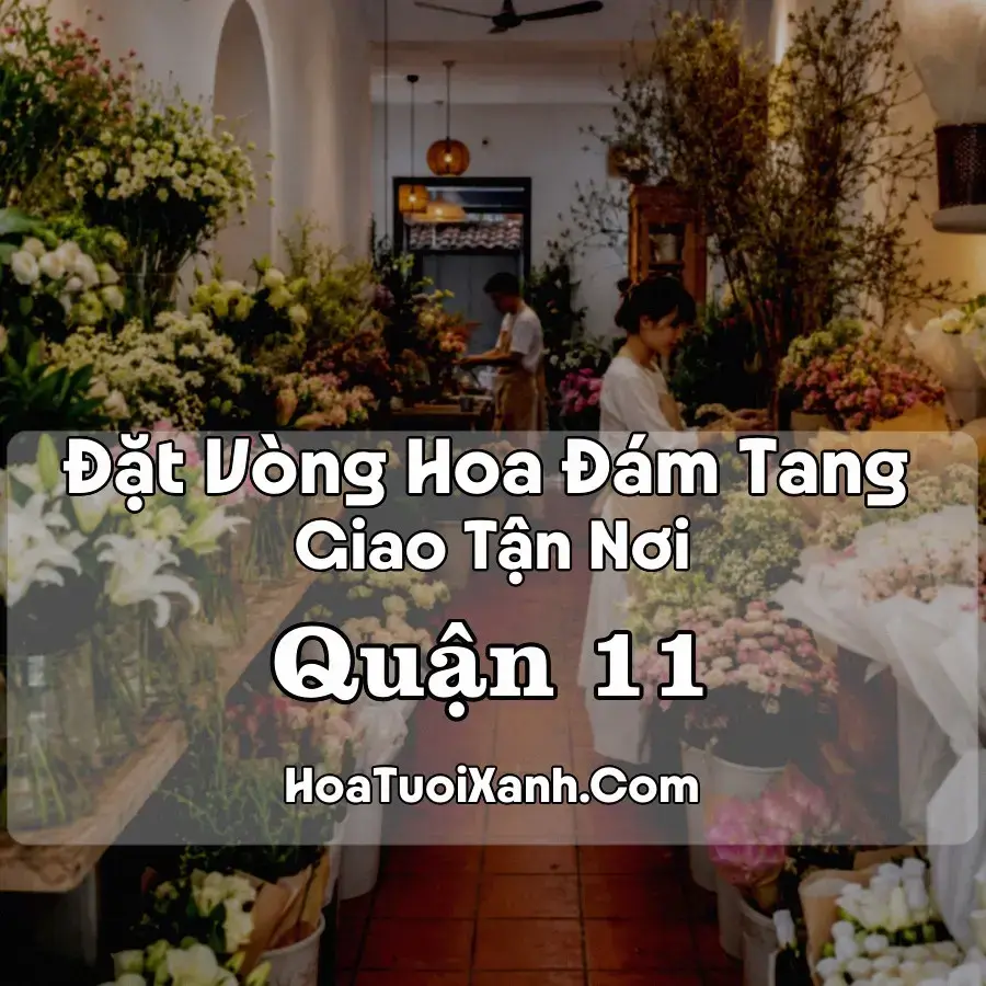 Hoa Đám Tang Quận 11 (Phường Minh Phụng, Phú Thọ, Hòa Bình, TP.HCM mới)