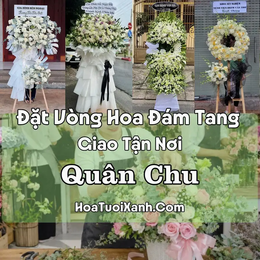 Hoa Đám Tang Quân Chu (Xã Quân Chu, Thái Nguyên mới)