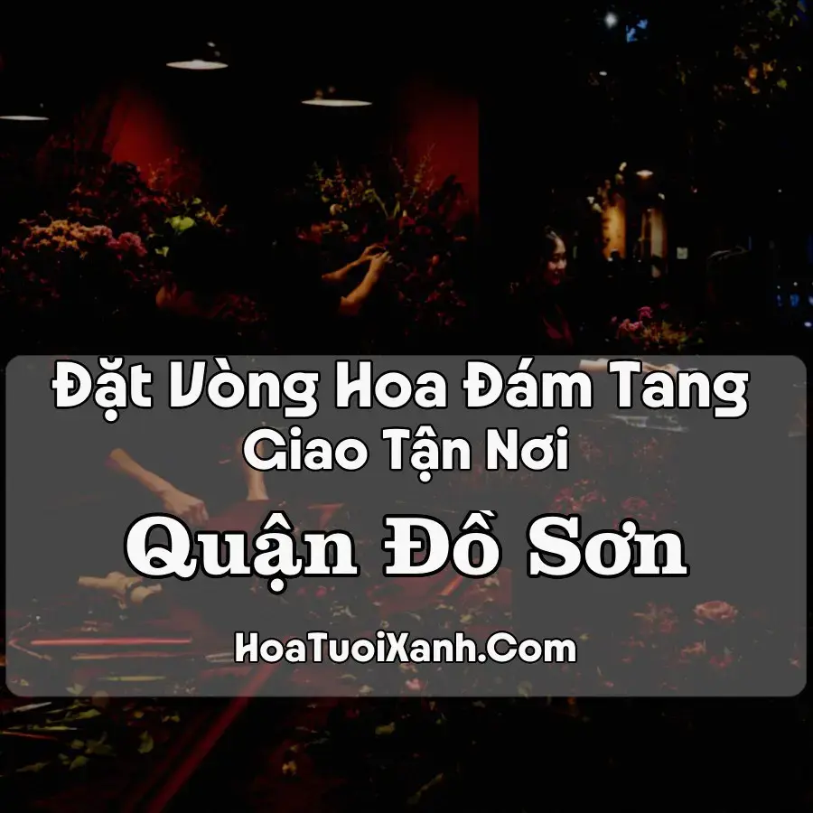 Hoa Đám Tang Quận Đồ Sơn (Phường Đồ Sơn, Hải Phòng mới)