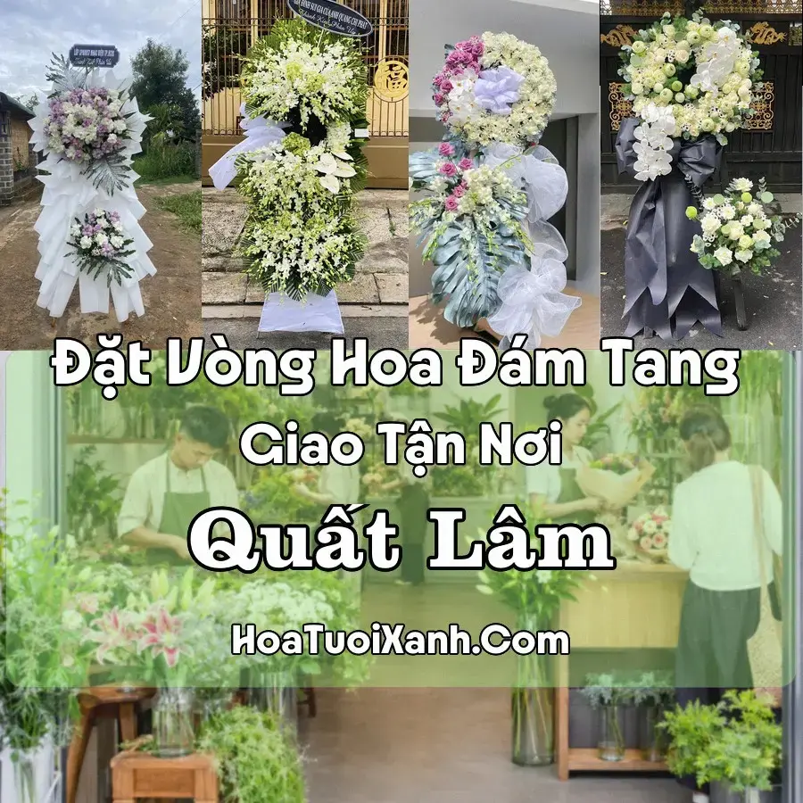 Hoa Đám Tang Quất Lâm (Xã Giao Ninh, Ninh Bình mới)
