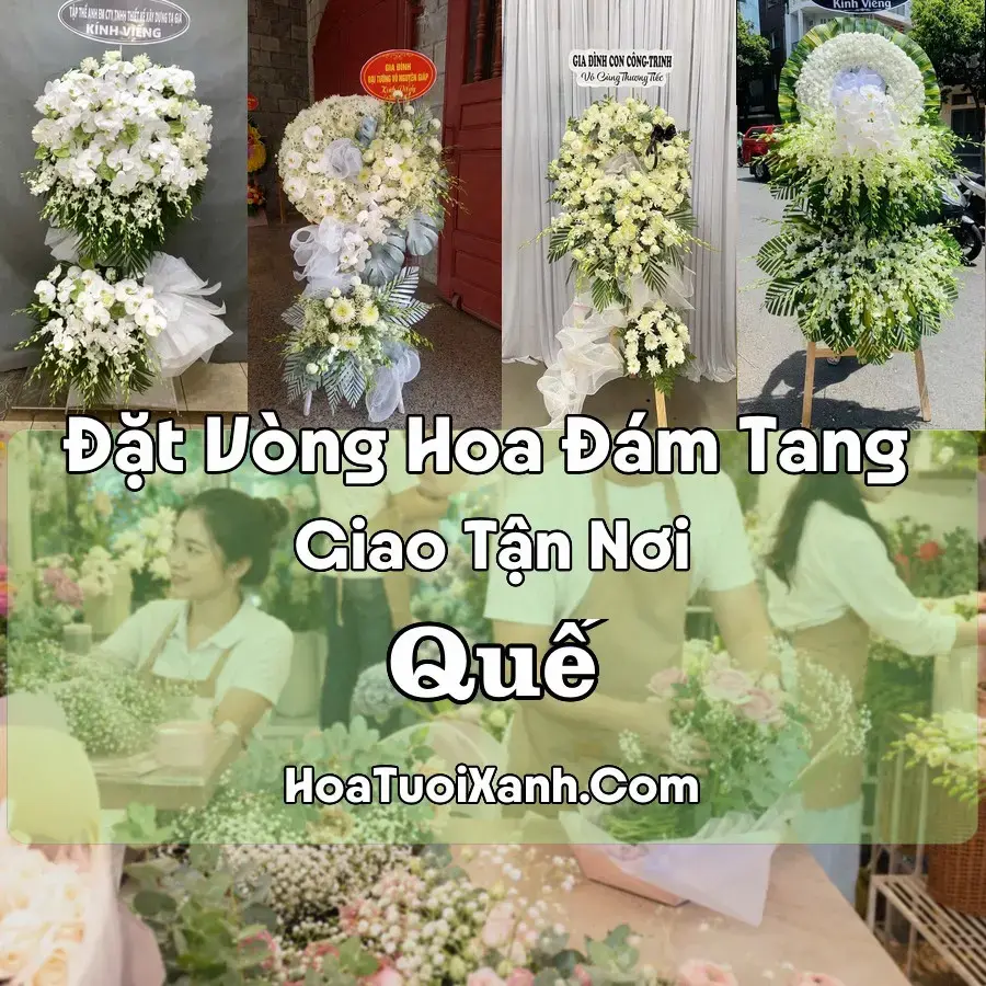 Hoa đám tang Quế