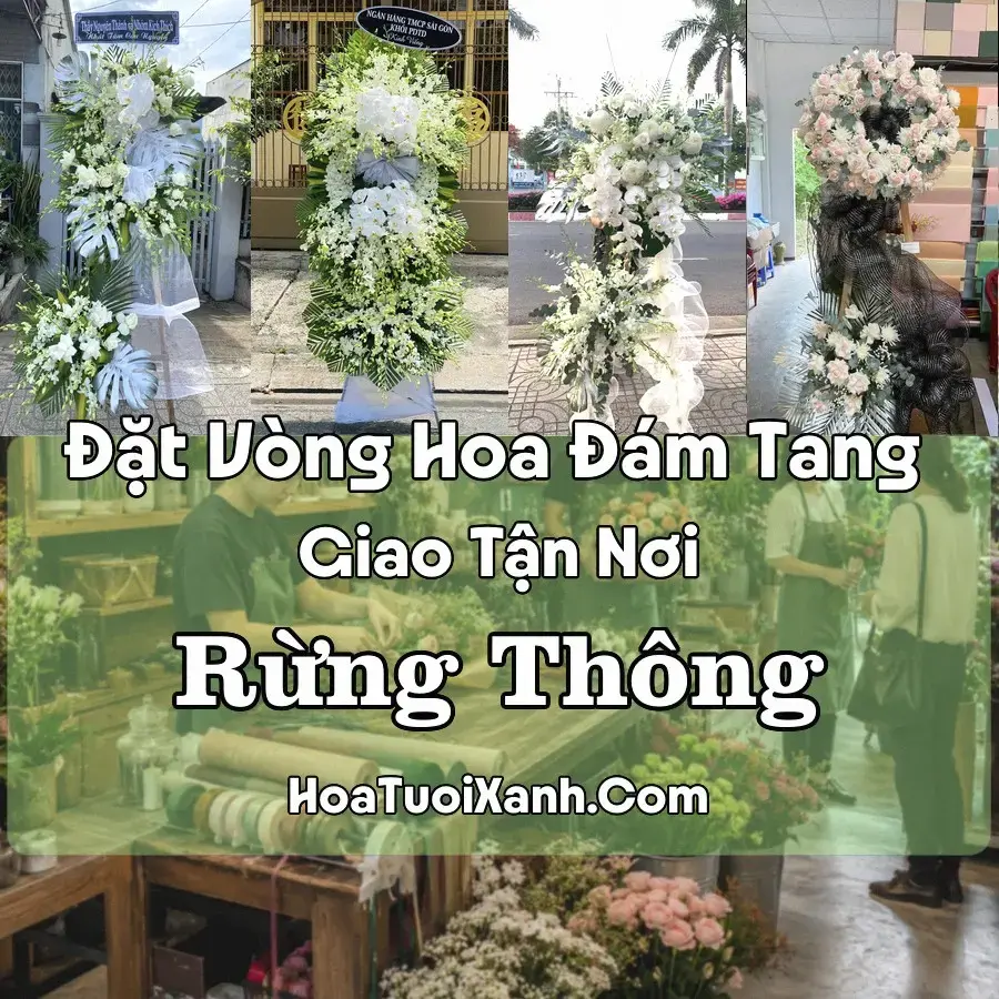 Hoa Đám Tang Rừng Thông (Phường Đông Sơn, Thanh Hóa mới)