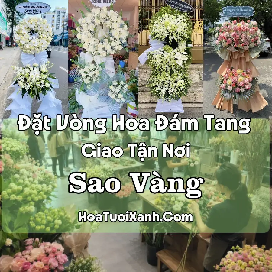 Hoa Đám Tang Sao Vàng (Xã Sao Vàng, Thanh Hóa mới)