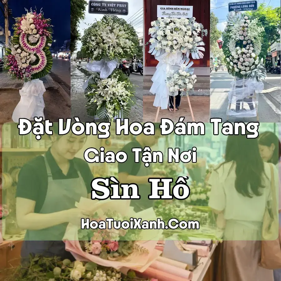 Hoa Đám Tang Sìn Hồ (Xã Sìn Hồ, Lai Châu mới)