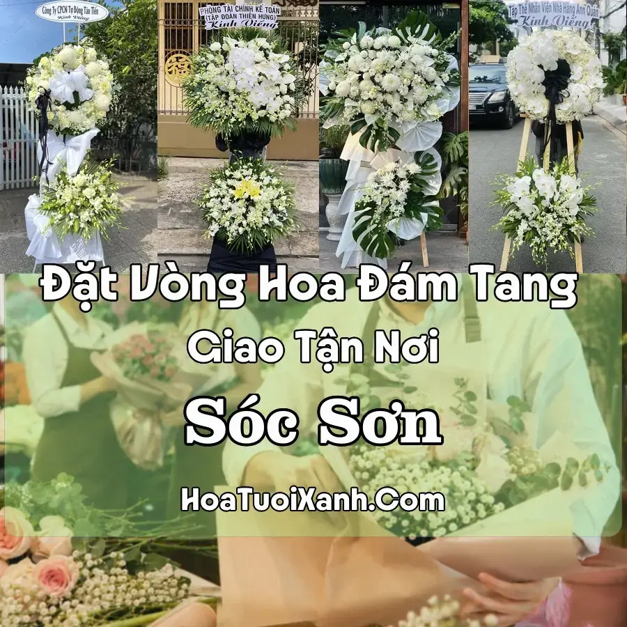 Hoa Đám Tang Sóc Sơn (Phường Phúc Yên, Phú Thọ mới)