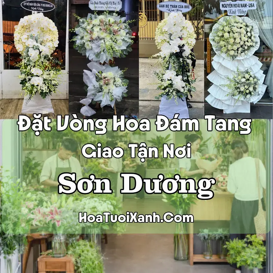 Hoa Đám Tang Sơn Dương (Xã Sơn Dương, Tuyên Quang mới)