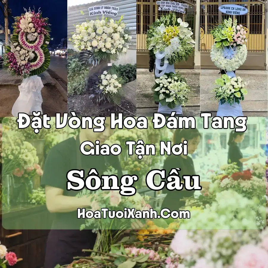 Hoa đám tang Sông Cầu