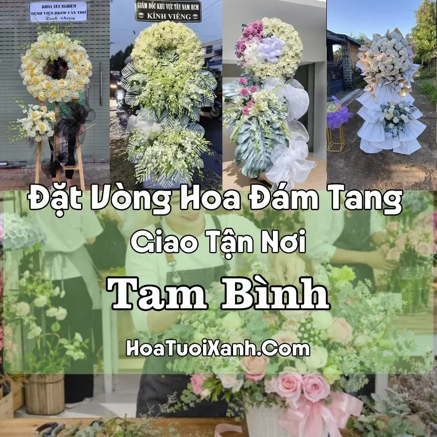 Hoa Đám Tang Tam Bình (Xã Tam Bình, Vĩnh Long mới)