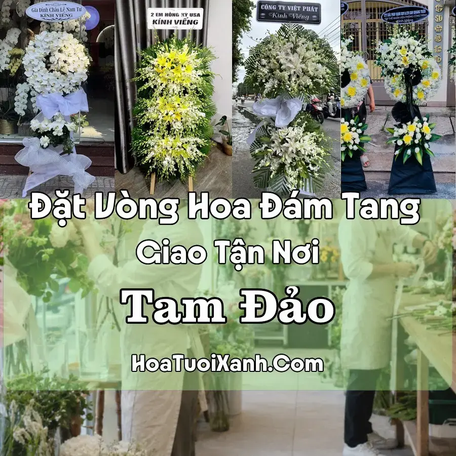Hoa Đám Tang Tam Đảo (Xã Tam Đảo, Phú Thọ mới)