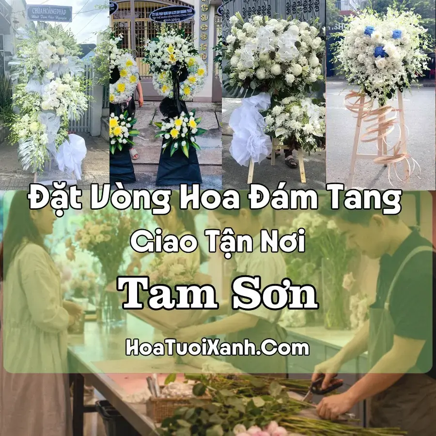 Hoa Đám Tang Tam Sơn (Xã Quản Bạ, Tuyên Quang mới)