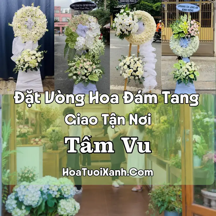 Hoa Đám Tang Tầm Vu (Xã Tầm Vu, Tây Ninh mới)