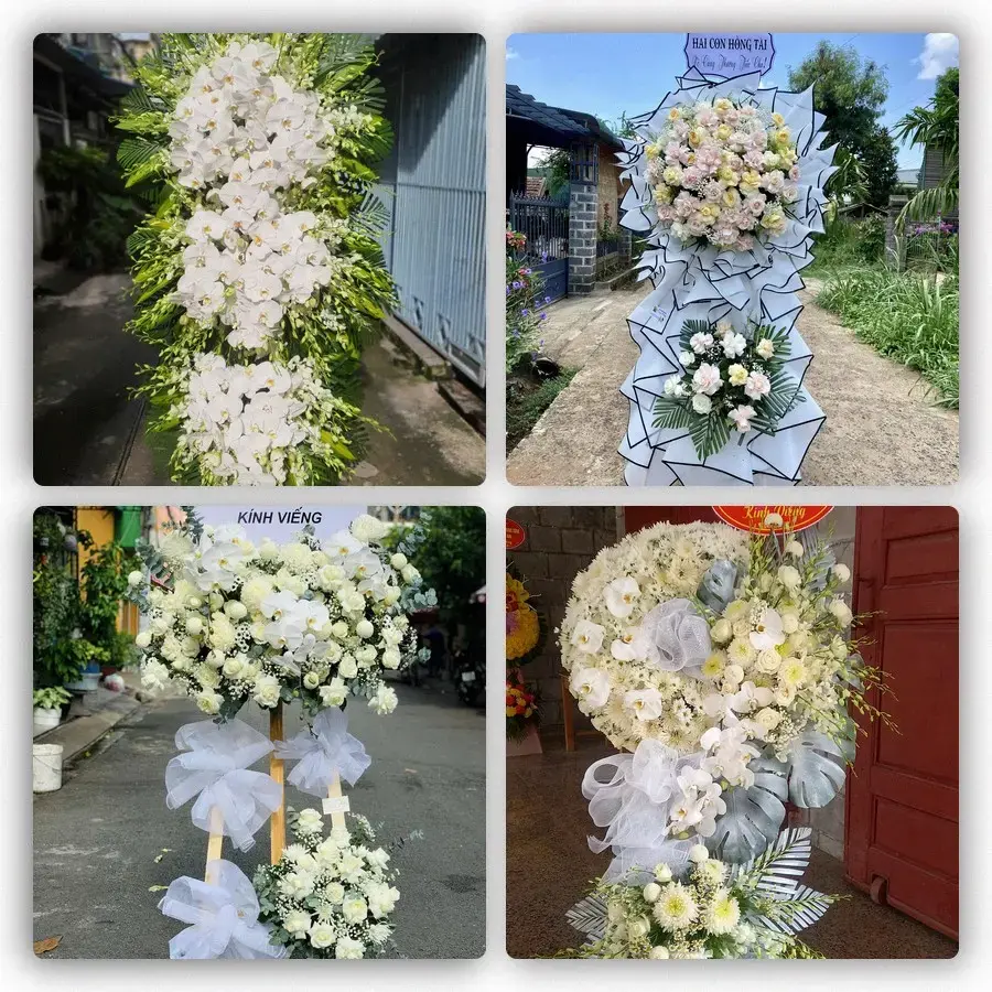 Bốn mẫu hoa đám tang Tăng Bạt Hổ