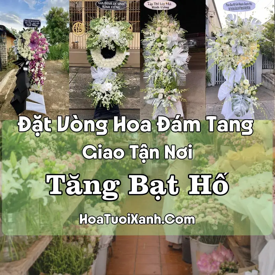 Hoa Đám Tang Tăng Bạt Hổ (Xã Hoài Ân, Gia Lai mới)