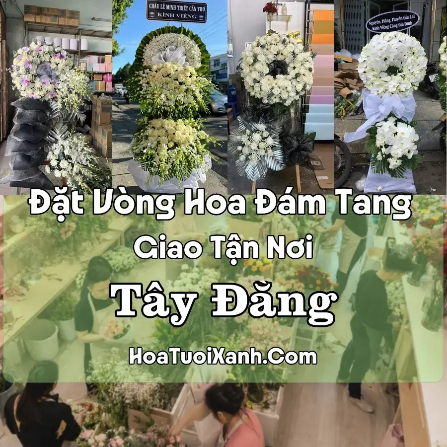 Hoa đám tang Tây Đằng