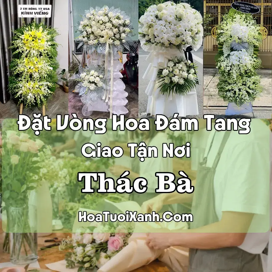 Hoa Đám Tang Thác Bà (Xã Thác Bà, Lào Cai mới)