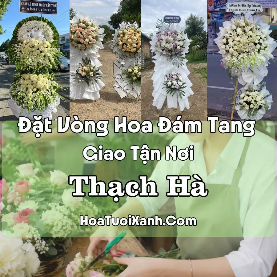 Hoa đám tang Thạch Hà
