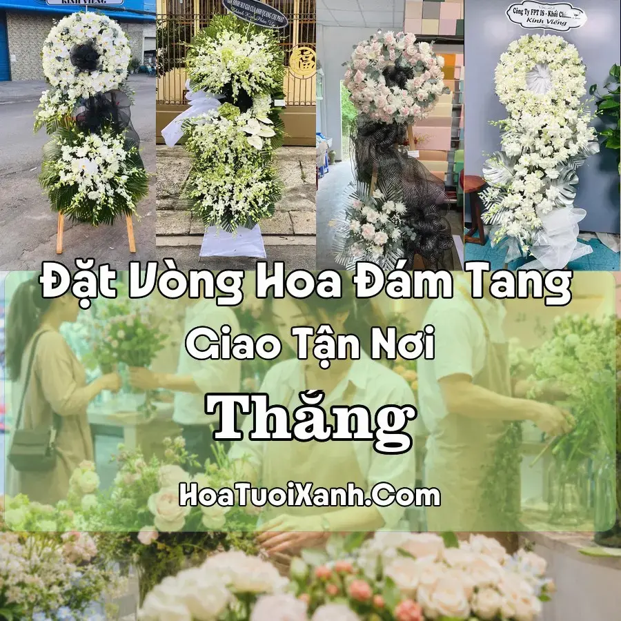 Hoa Đám Tang Thắng (Xã Hiệp Hòa, Bắc Ninh mới)